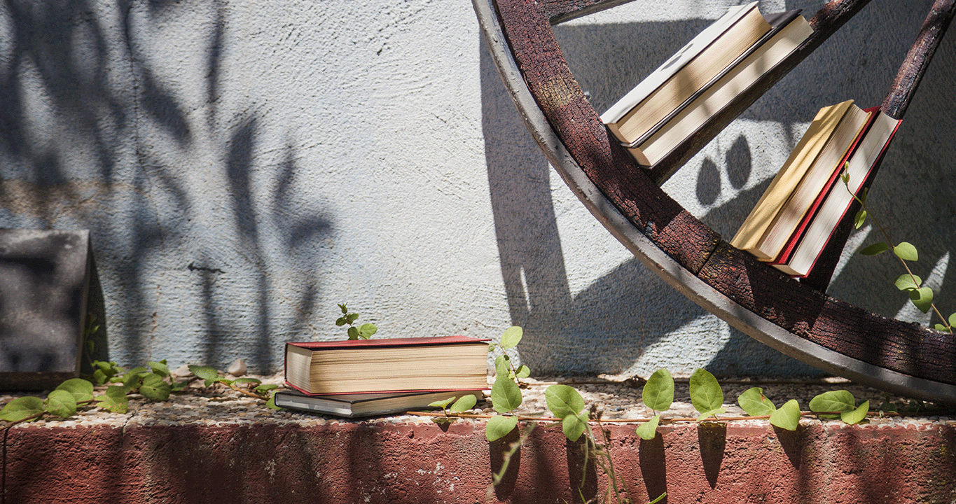 Livros sobre um banco de concreto com plantas verdes e uma roda antiga de madeira com livros encontados nela.